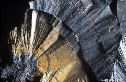 Unlocking Nickel Ore Value Through Small-Scale Imaging Techniques