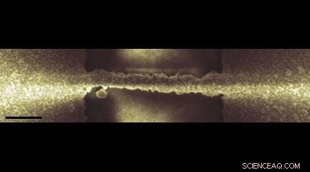 Gold‑Coated DNA Strands: A Novel Approach to Circuitry in Advanced Biosensors