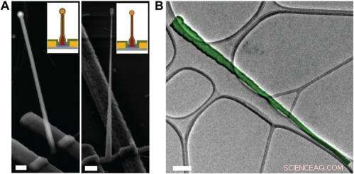 Nanowires and Nanotubes Unite to Create Ultra‑Small Intracellular Bioelectronic Probes