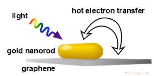 Researchers Measure Electron Transfer Time Between Gold Nanorods and Graphene via Plasmon Resonance