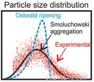 Tracking Nanoparticle Growth: Quantitative Insights from the Smoluchowski Model