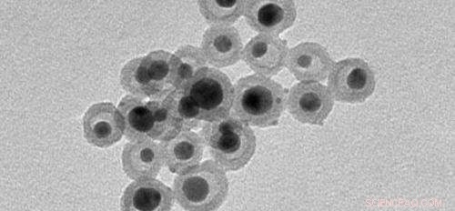 Innovative One‑Pot Nanoparticle Encapsulation Enhances Antimicrobial Coatings