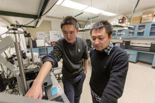 Fine‑Tuning Nanoscale Color Control for Advanced Displays