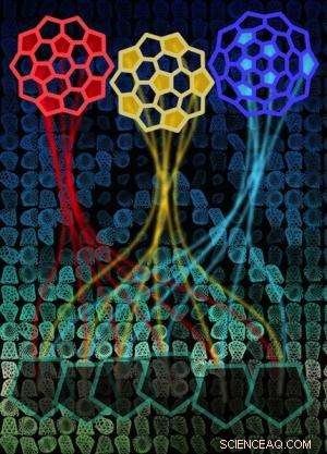 Carbon Nanotube Caps: Not the Key Factor in Determining Chirality