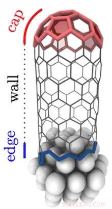 Carbon Nanotube Caps: Not the Key Factor in Determining Chirality