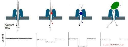 Oxford Nanopore Launches MinION: A Portable, High‑Accuracy Genome Sequencer