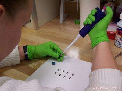 Optimizing Nanoparticle Analysis: Leveraging Microtechniques for Minimal Sample Sizes