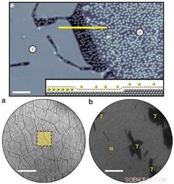 Caesium Intercalation in Graphene: Mechanism and Structural Insights