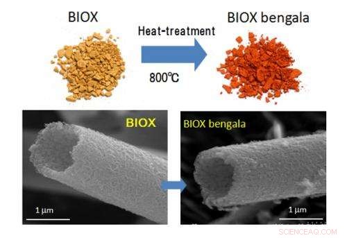Iron Oxide Nanoparticles: Cutting-Edge Research and Diverse Applications