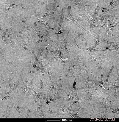 Advancing Polymer Materials for Aviation: Enhanced Performance and Durability