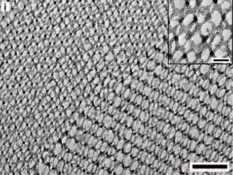 Theory-Driven Design Enhances Nanoparticle Networks