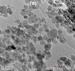 Comparative Study Reveals Best Nanoparticle System for Cancer Treatment