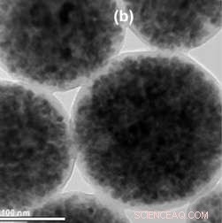 Comparative Study Reveals Best Nanoparticle System for Cancer Treatment