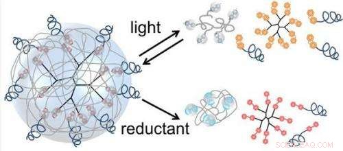 Innovative Carrier Enables Precise Targeted Drug Delivery – A Breakthrough by University of Twente Researchers