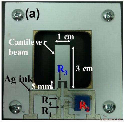Graphite Pencil Sketches Become Functional Sensors