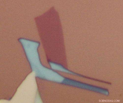 Scientists Develop Ultra‑Thin LEDs for Superior Strength and Energy Efficiency