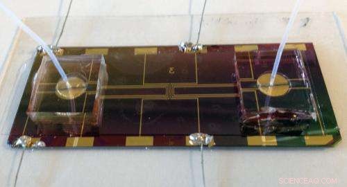 Advanced Biomolecular Tweezers Enable Precise Analysis of Mechanical Forces on Cells and Proteins