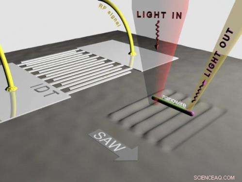 Transporting Light Along Semiconductor Nanowires Using Surface Acoustic Waves
