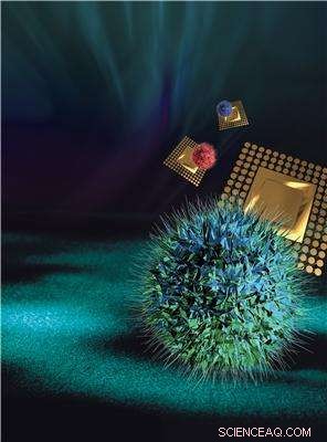 Targeted Nanoparticle Therapy: Selective Attack on Cervical Cancer Cells