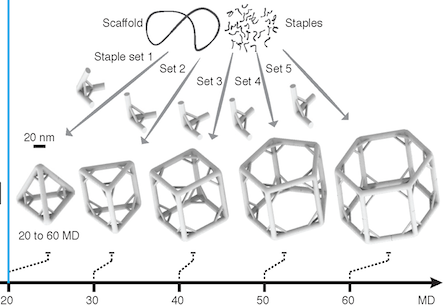 Fluorescent DNA Structures Pave the Way for Tiny In‑Body Repair Machines
