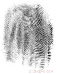 Authentic Fingerprints Using Silver Nanowires: A Breakthrough in Anti-Counterfeiting