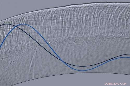 How Nanopores Enable Precision Sound Detection