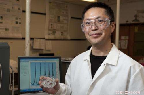 Revolutionary Battery Technology Harnesses Multifunctional Materials