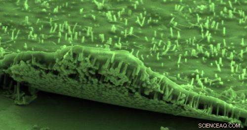 Enhanced III‑V Nanowire Solar Cells on Graphene Deliver Superior Performance