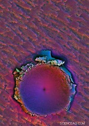 Scientists Reveal How Mollusk’s Bioceramic Armor Achieves Superior Protection