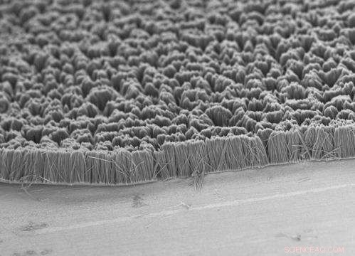 High-Performance Heat-Conducting Polymer Drastically Lowers Device Temperatures to 200°C