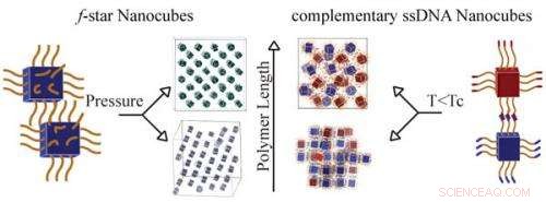 Scientists Discover Polymerized Nanocubes Assemble into Diverse Complex Structures