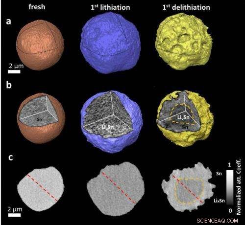 Scientists Monitor 3‑D Nanoscale Transformations of Rechargeable Battery Materials in Real Time