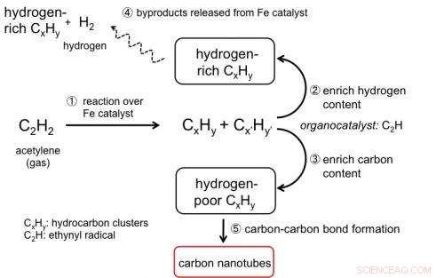 Carbon Nanotubes Form in Combustion Flames: A Breakthrough in Materials Science