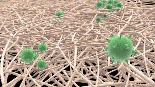 Uppsala University Introduces Nano-Paper Filter That Efficiently Removes Viruses