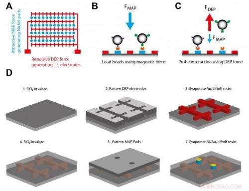 Micro‑Scale Biomolecular Tweezers Unveil Cellular Force Dynamics