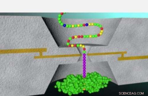 New Study Uncovers Distinct Amino Acid Fingerprints