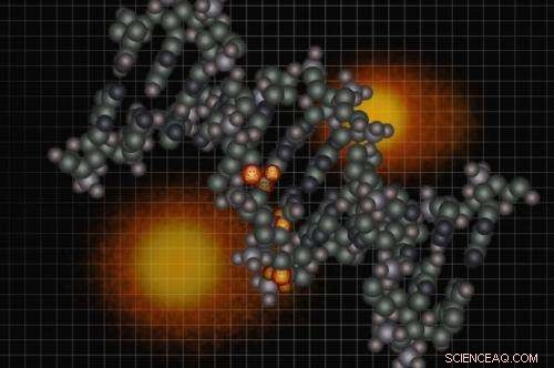 Nanoparticles in Everyday Products: How They Harm DNA and What You Need to Know