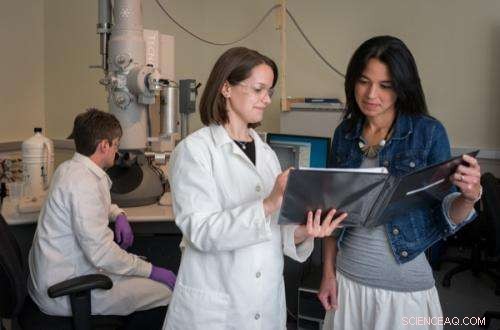 Study Reveals How Processing Conditions Influence Nanocarrier Size for Targeted Drug Delivery