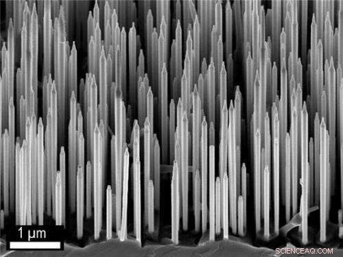 Advanced Nanowire Design Enhances Solar Cells, LEDs, and Optical Technologies