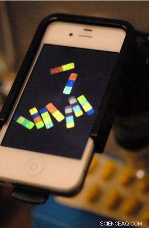 Polymer Microparticles: A New Tool for Authenticating Goods