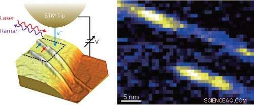 Advanced STM-TERS Microscopy Unveils Individual Carbon Nanotubes in Ambient Conditions