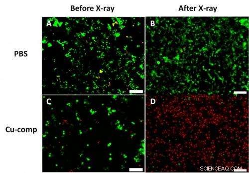 Physicists Develop Novel Nanoparticle to Target Cancer Cells