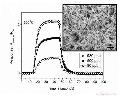 Advanced Ozone Sensor Achieves Faster, More Sensitive Detection