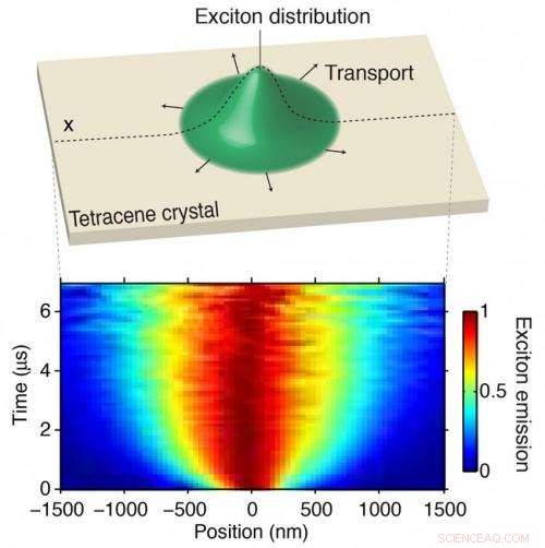 Direct Observation of Mobile Excitons in Tetracene Crystals: A First