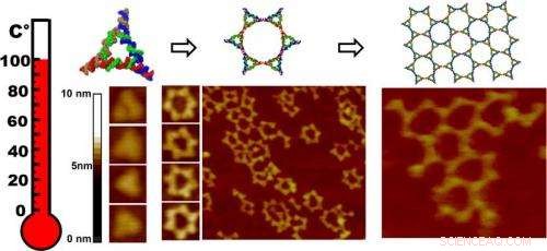 University of Kentucky Nanotech Team Unveils RNA-Based Heat‑Resistant Polymer for Nanoarchitectures