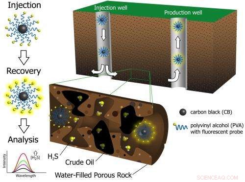 Rice University’s Nanoreporters Detect Hydrogen Sulfide to Assess Oil Reservoir Quality Before Production