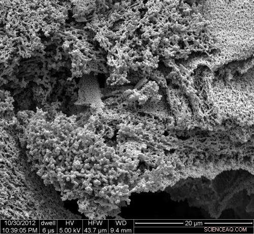 Rice University’s Nanoreporters Detect Hydrogen Sulfide to Assess Oil Reservoir Quality Before Production
