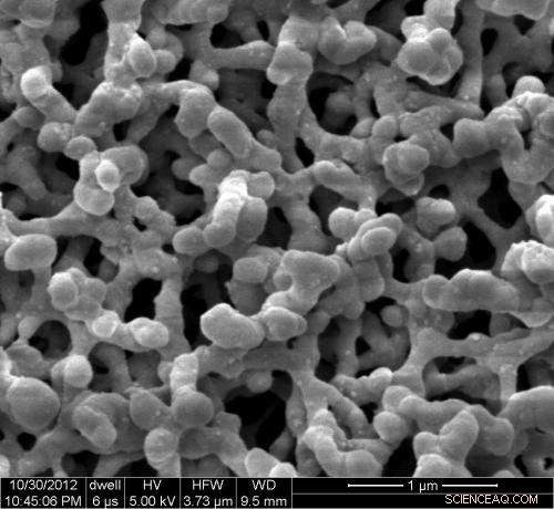 Rice University’s Nanoreporters Detect Hydrogen Sulfide to Assess Oil Reservoir Quality Before Production