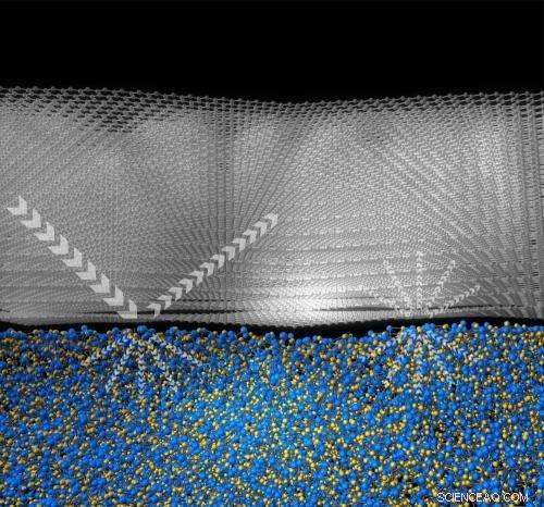 Phonon Scattering Insights Drive Design of Graphene Materials for Advanced Applications