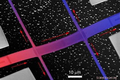Phonon Scattering Insights Drive Design of Graphene Materials for Advanced Applications